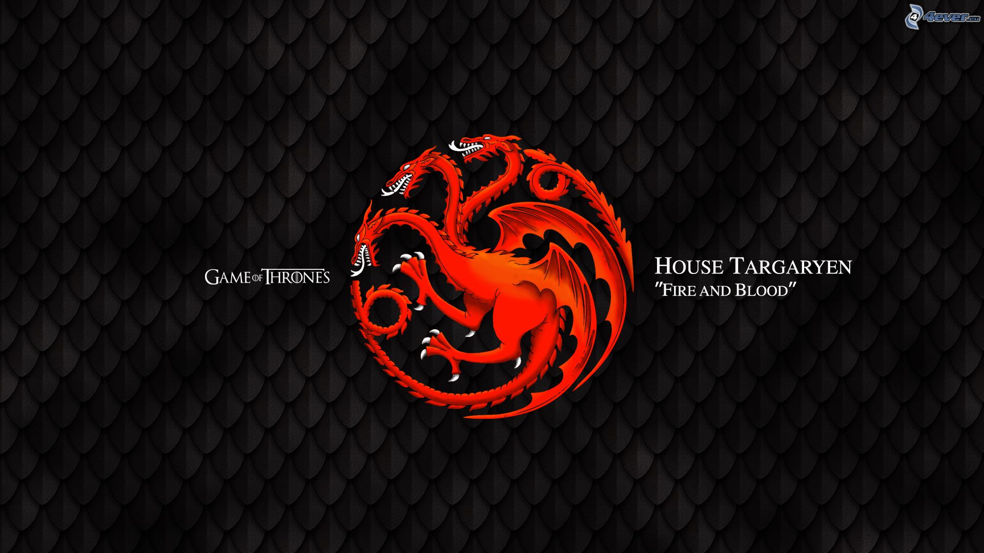 House of dragons
